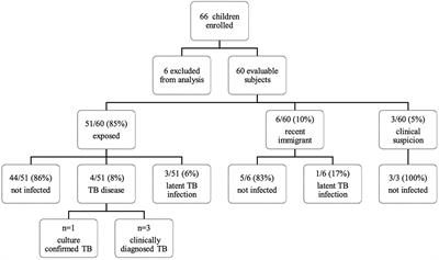 Contribution of QuantiFERON-TB Gold-in-Tube to the Diagnosis of Mycobacterium tuberculosis Infection in Young Children in a Low TB Prevalence Country